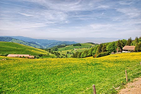 Herrlicher Ausblick vom Schauinsland in Richtung Rheinebene